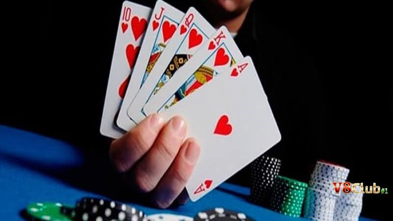 Quan tâm khoảng tiền cược khi Fold trong poker
